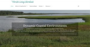 lois reed designs, custom website design