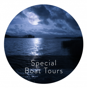 lois reed website design