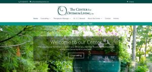 custom website design, lois reed designs