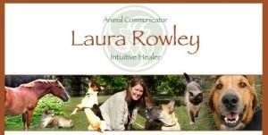 website banners