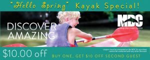 online coupon, lois reed designs