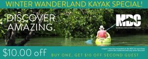 online coupon design