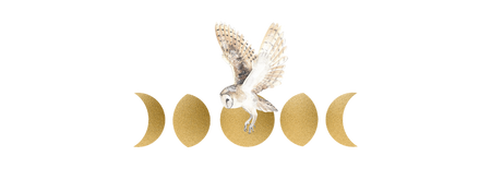Eco Soul Art West Milford NJ, website design, logo design